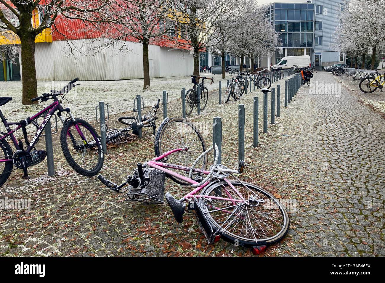 MUNICH, GERMANY - DECEMBER 2, 2024: Frosty morning in campus of Munich Garching Technical University - Smartphone Captured Stock Image