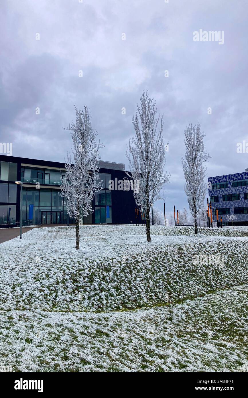 MUNICH, GERMANY - DECEMBER 2, 2024: Frosty morning in campus of Munich Garching Technical University - Smartphone Captured Stock Image
