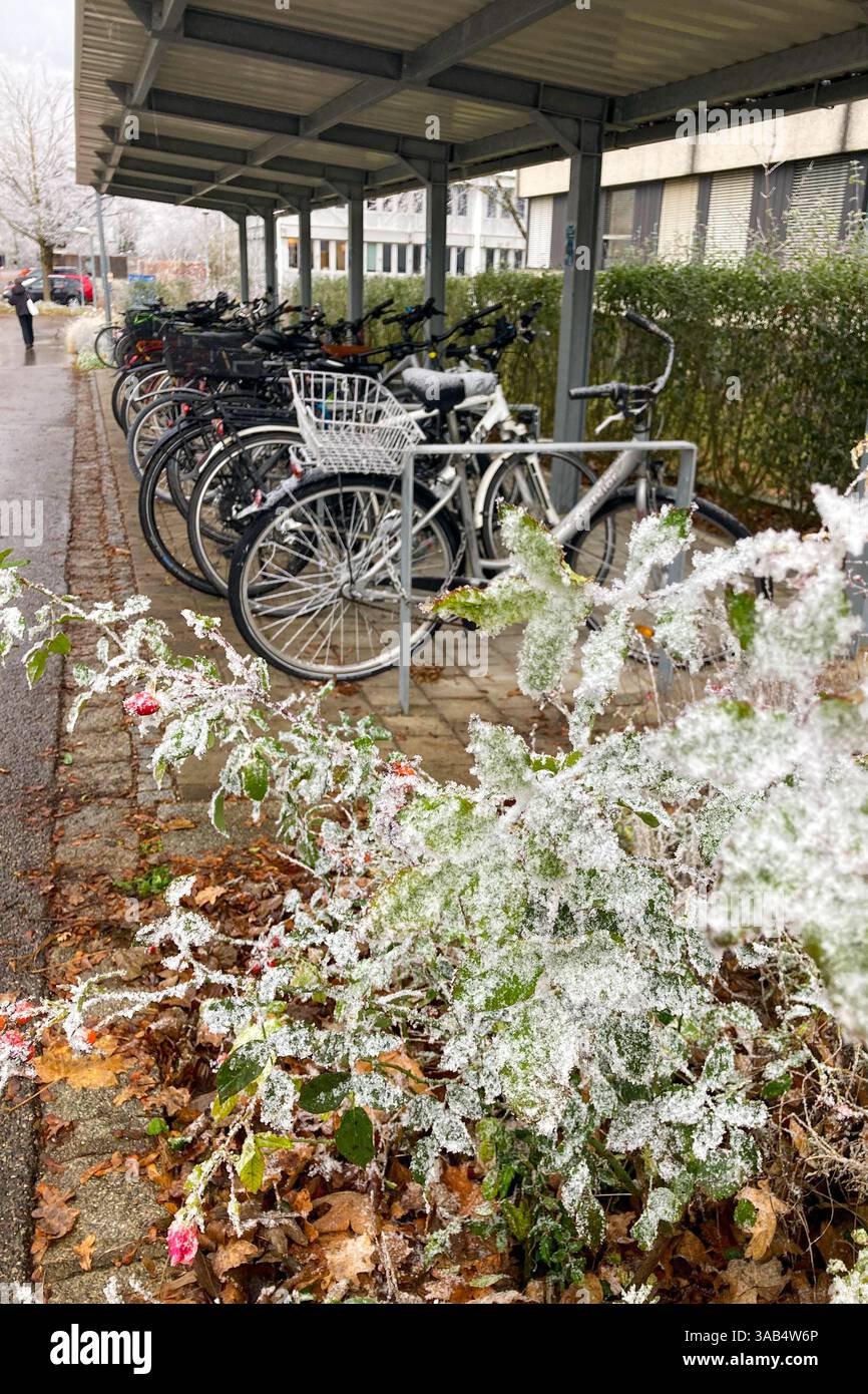 MUNICH, GERMANY - DECEMBER 2, 2024: Frosty morning in campus of Munich Garching Technical University - Smartphone Captured Stock Image