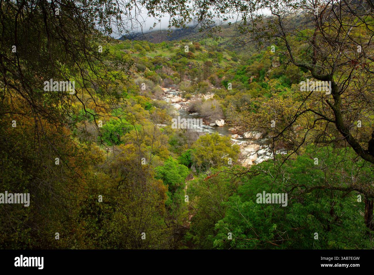 Kaweah River, Sequoia National Park, California Stock Photo - Alamy