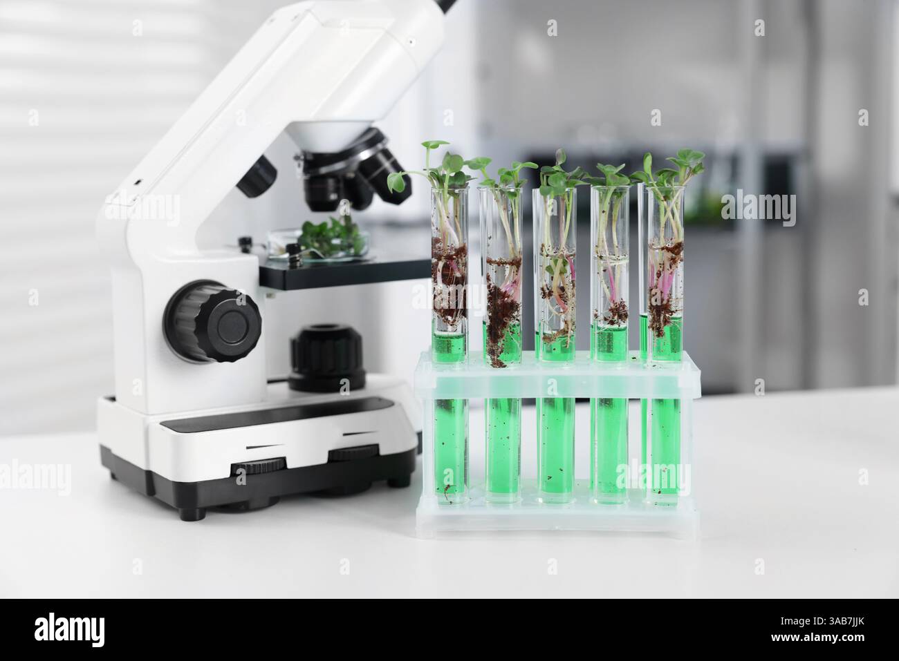 Biochemistry. Microscope, test tubes with liquids and plants on white ...