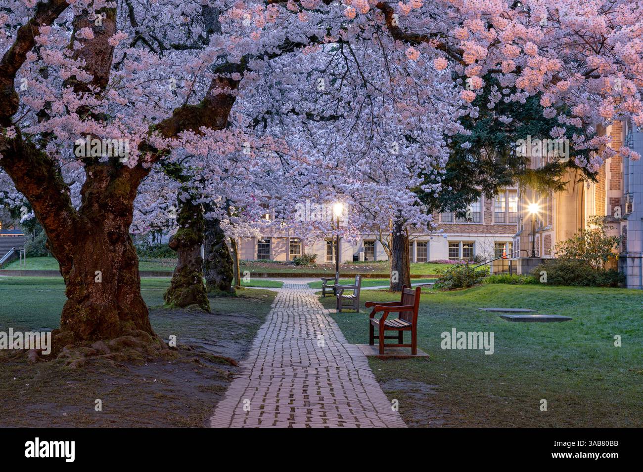 University of Washington - Health Sciences Education