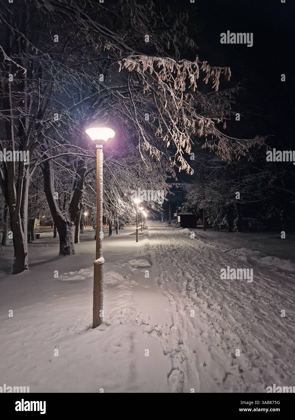 Snowing night scene in the winter park with a view to the street lamp light and snowflakes falling - Smartphone Captured Stock Image