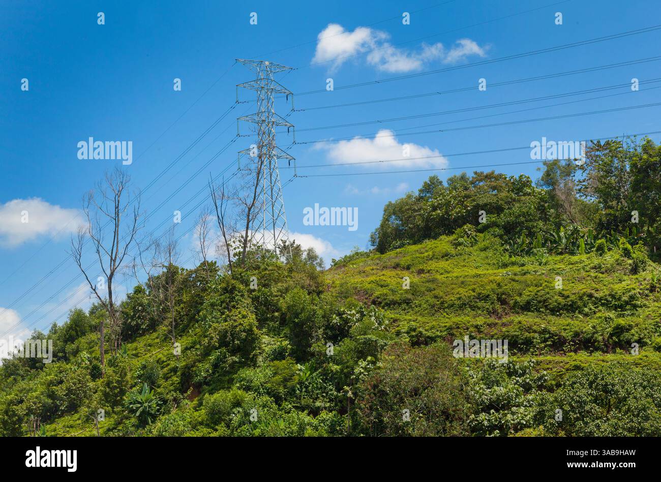 Hilltop electricity power grid, tropical Malaysia Stock Photo