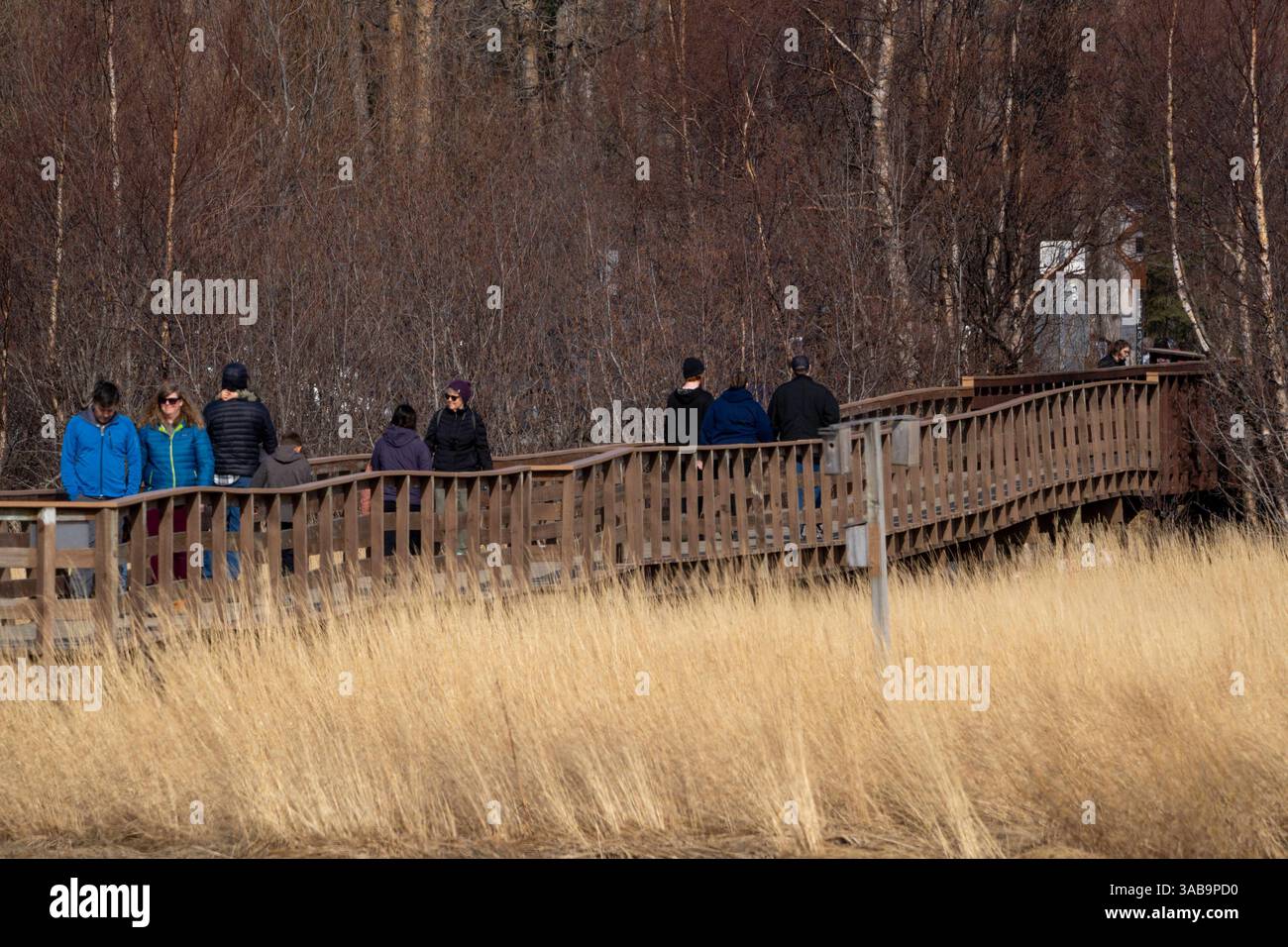 Alaska s Natural Treasure: Wildlife Feast at Potter Marsh Anchorage ...