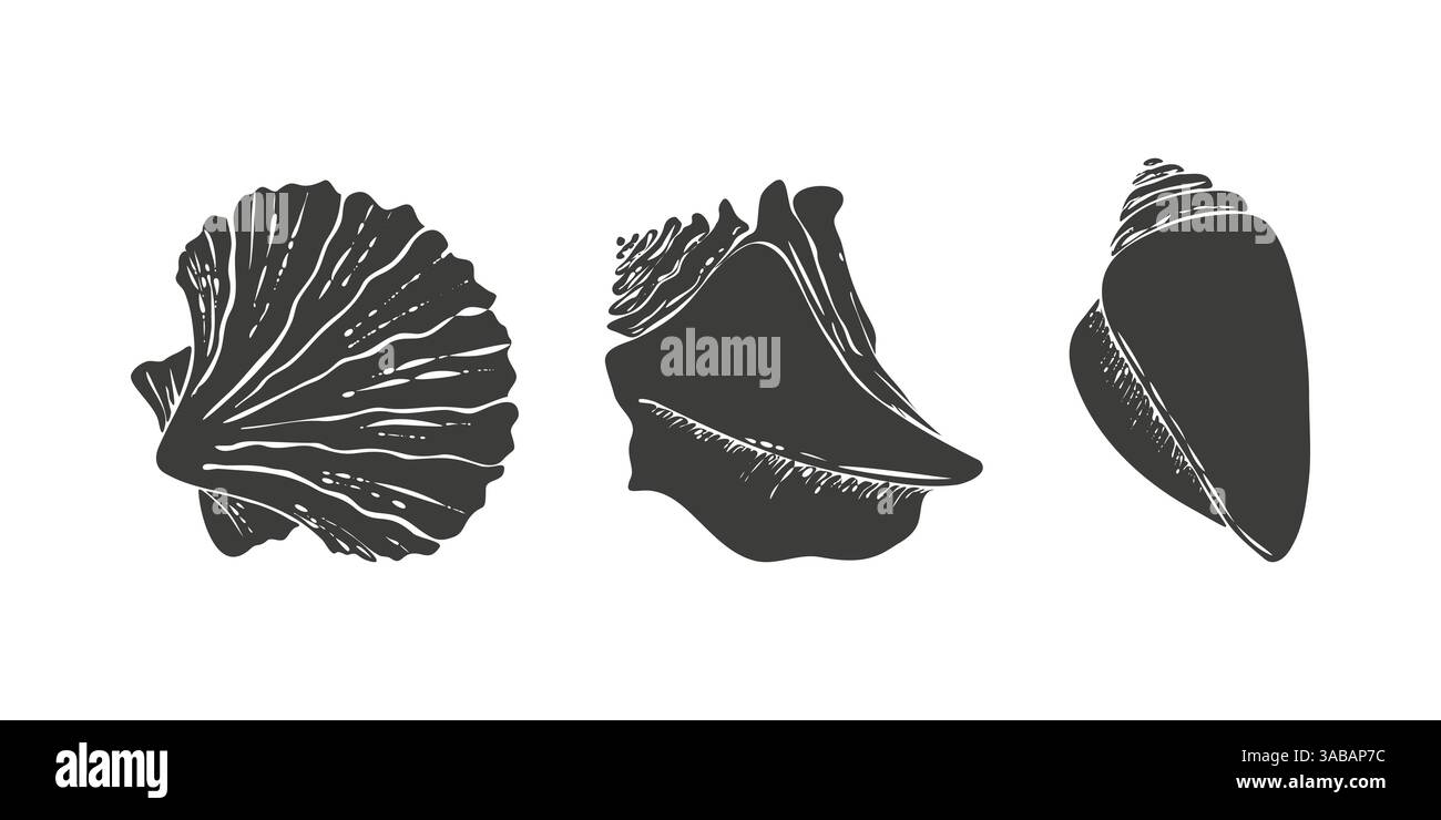 Set icon seashells silhouettes, mollusk, pectinida, conch, scallop ...