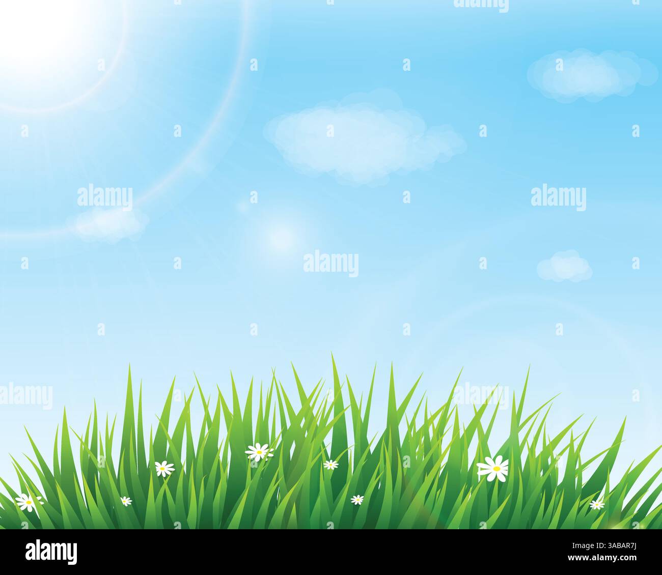 Nature background with green grass and blue sky. Vector illustration ...