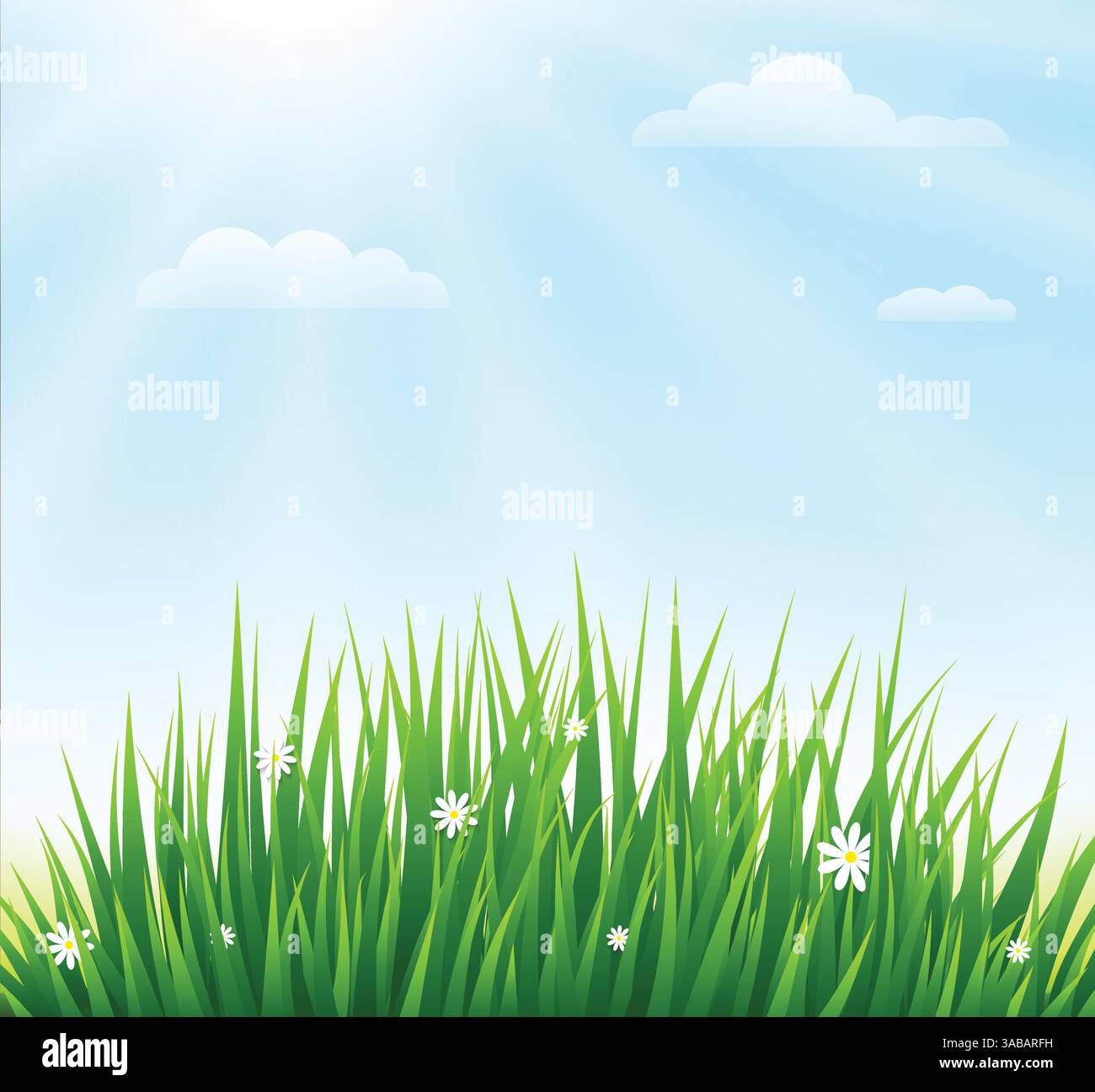 Nature background with green grass and blue sky. Vector illustration ...