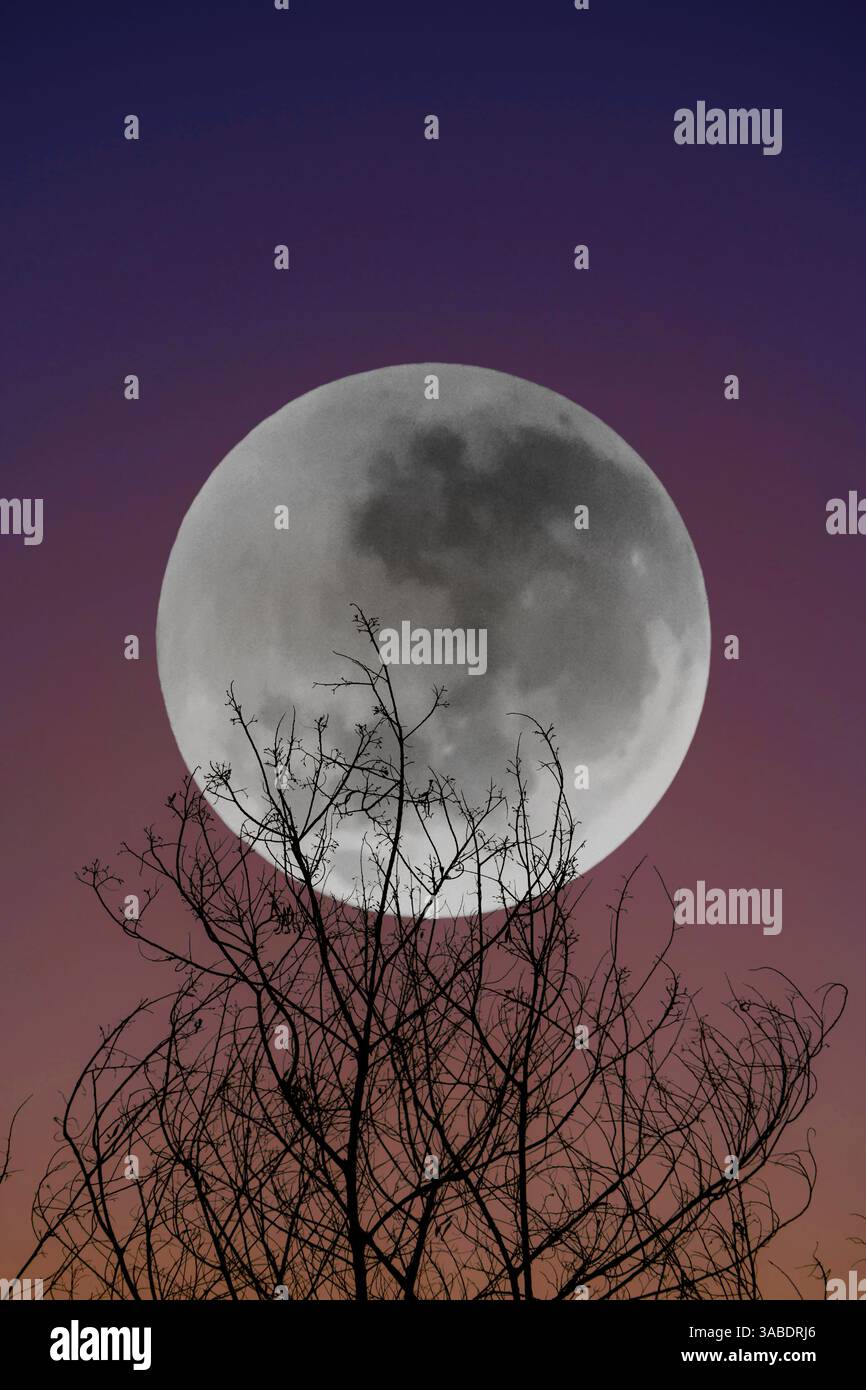Moon in sky behind hi-res stock photography and images - Alamy