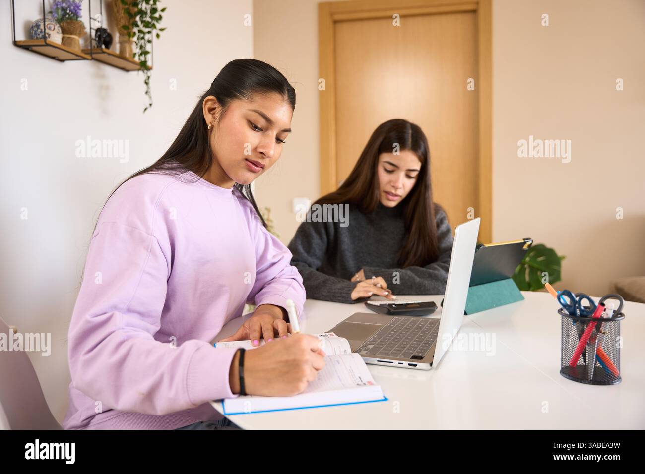 Two young latin women working from home office taking notes and using laptop Stock Photo
