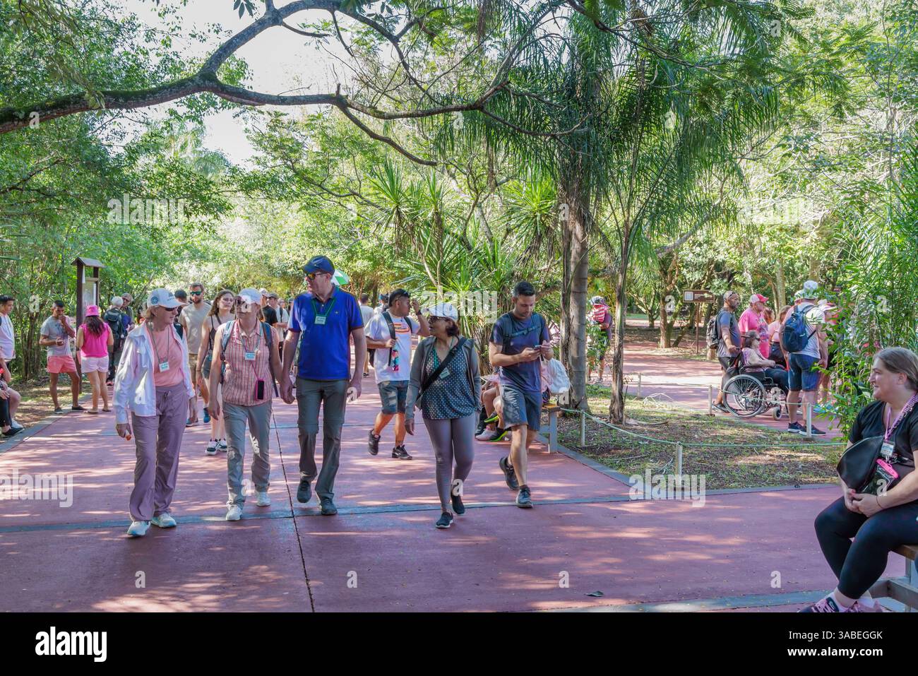 Puerto Iguazu, Misiones, Argentina - April 2nd, 2025: Tourists in Iguazu National Park. Stock Photo