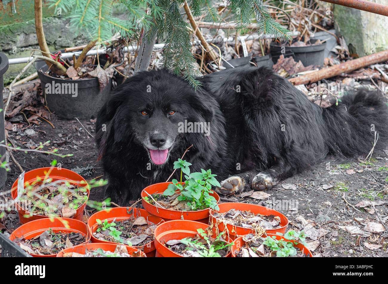 Serene outdoor area hi res stock photography and images Alamy