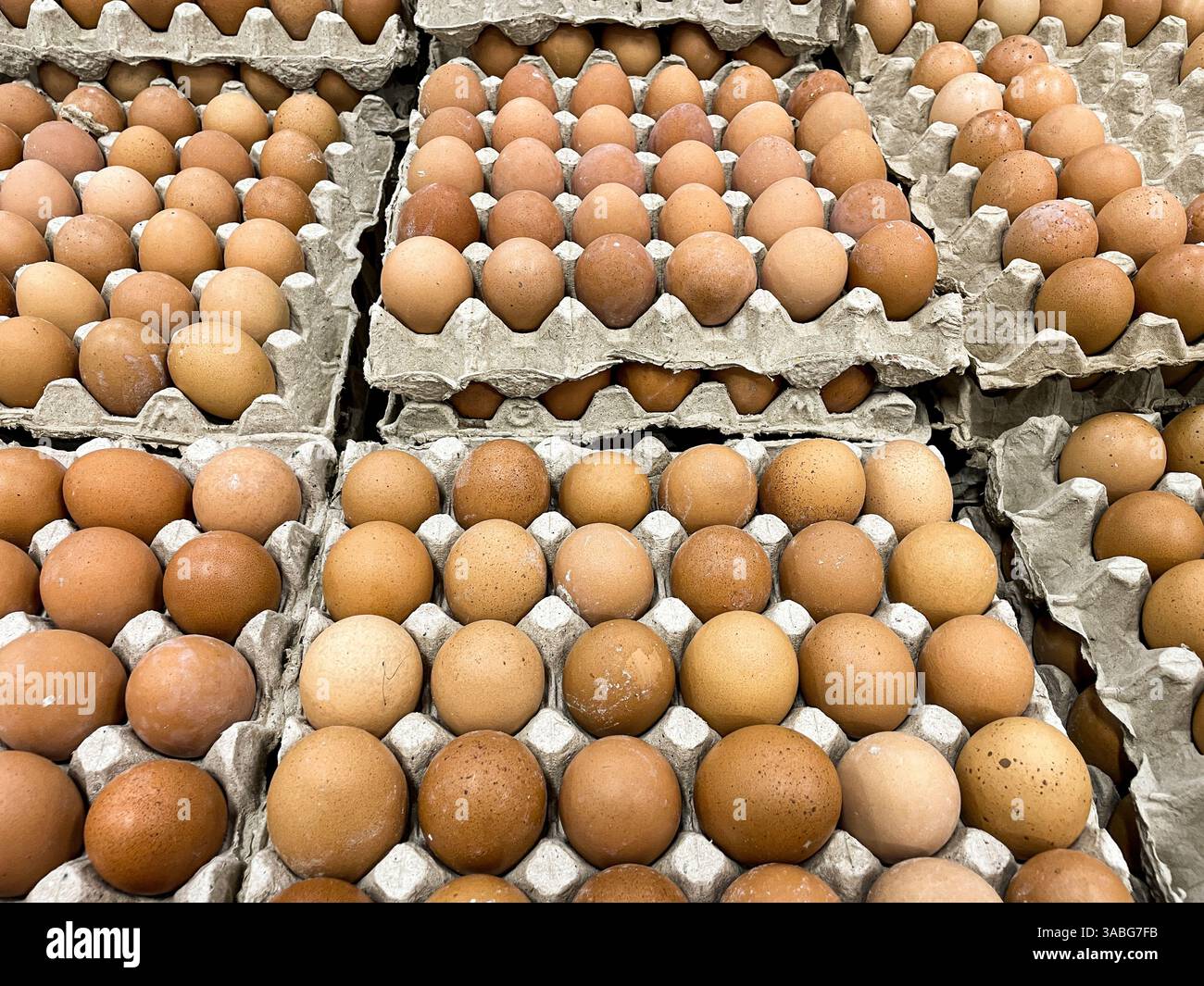 pile of organic brown chicken eggs box displayed at market - Smartphone Captured Stock Image