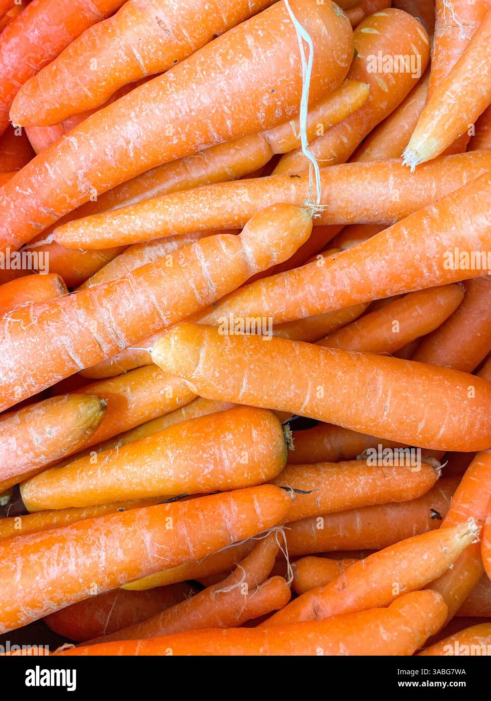 Pile of fresh carrots displayed at groceries store as food background - Smartphone Captured Stock Image