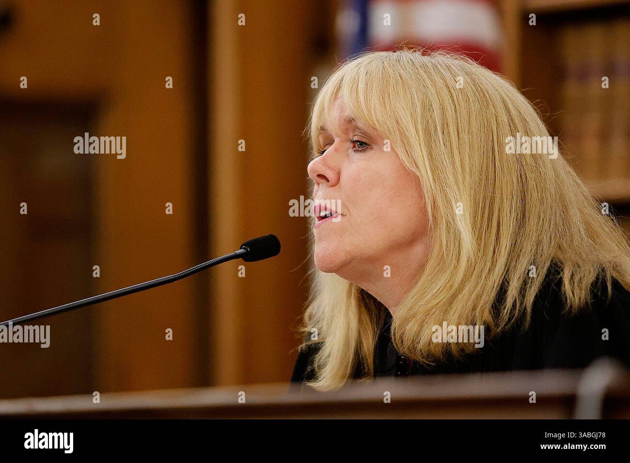 Judge Beverly Cannone asks potential jurors questions from the bench ...