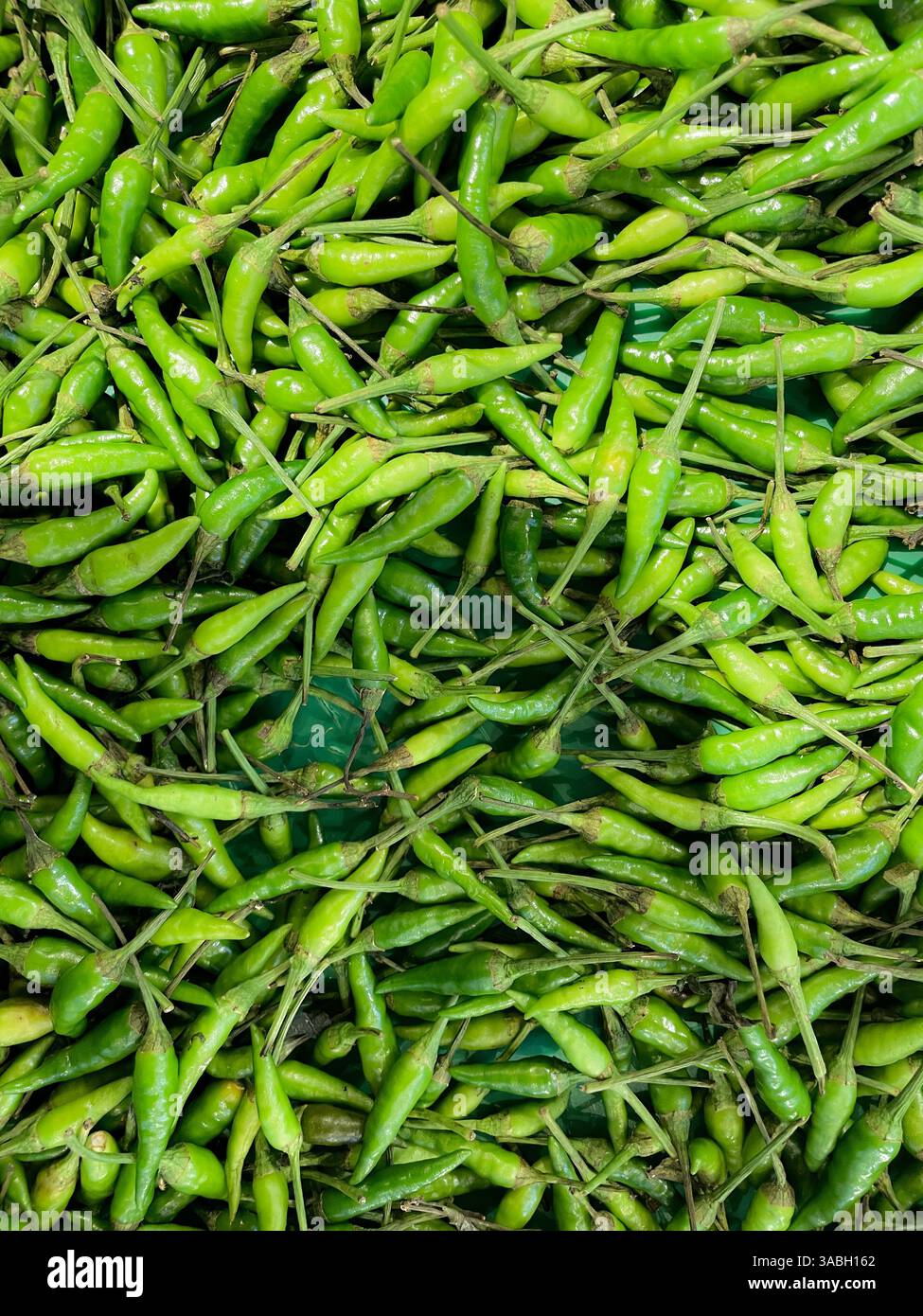 Green chilli peppers displayed on market, food background - Smartphone Captured Stock Image