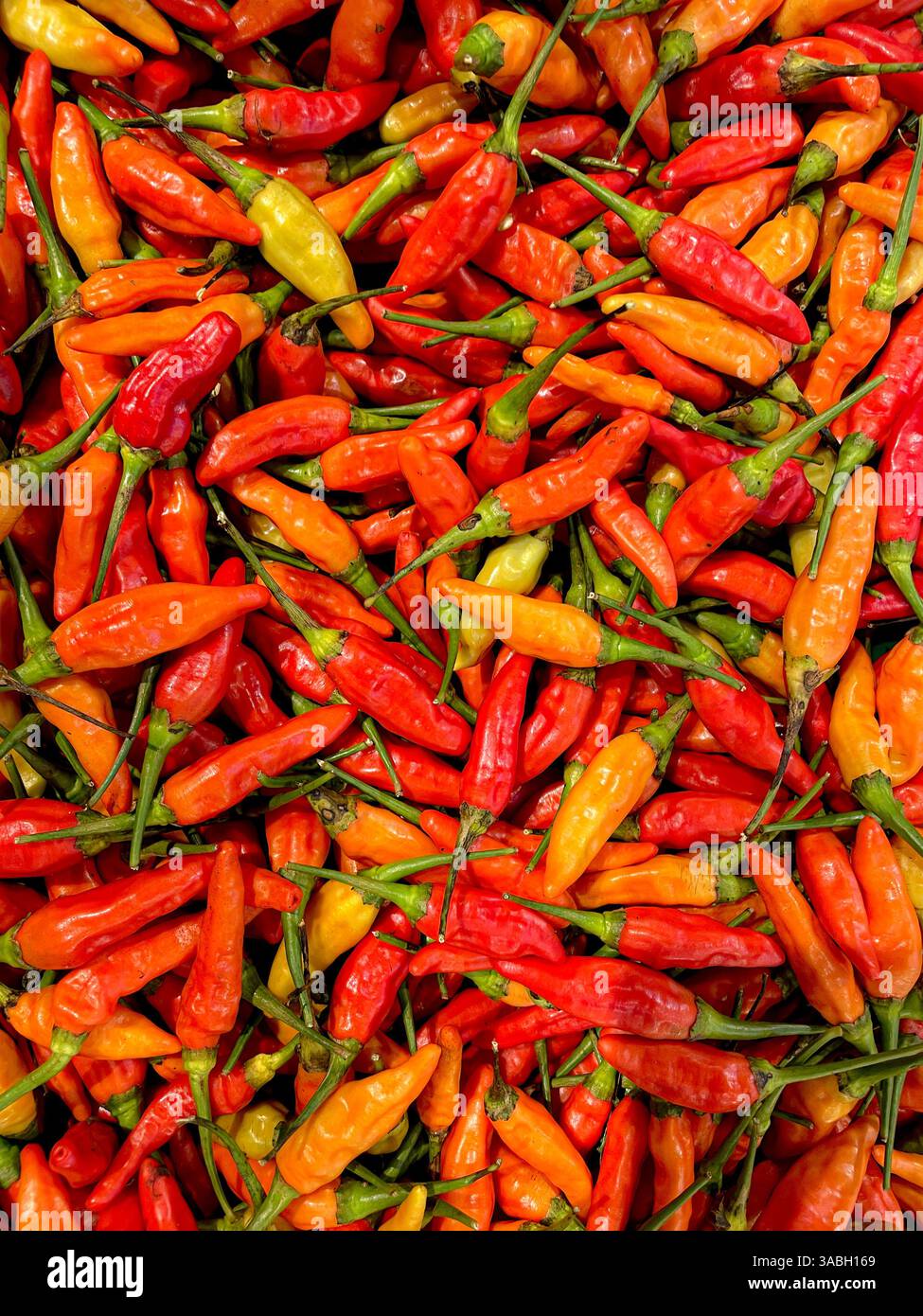 Red chilli peppers displayed on market, food background - Smartphone Captured Stock Image