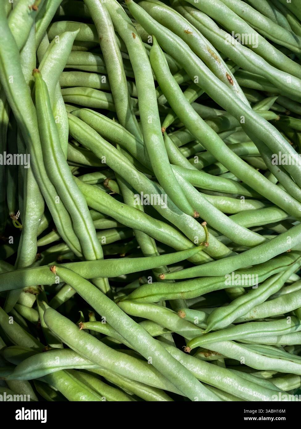 Heap of green pods of raw, not cooked, asparagus beans top view. - Smartphone Captured Stock Image