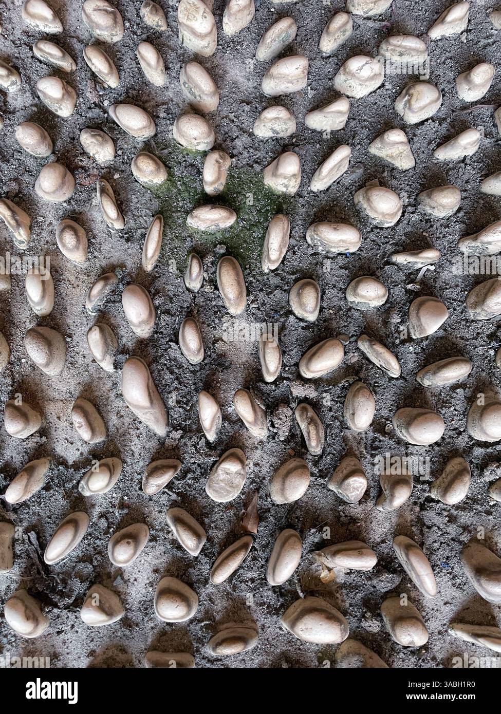 Close-up view of pebbles on the sidewalk for foot reflexology massage, batu pijat refleksi - Smartphone Captured Stock Image