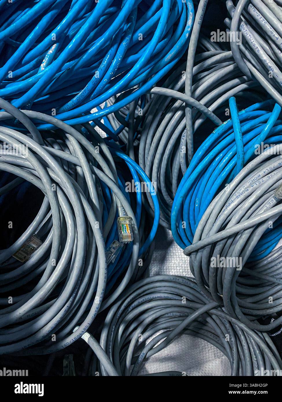 bundle of blue and grey unused rolled LAN cable or network cable as background - Smartphone Captured Stock Image