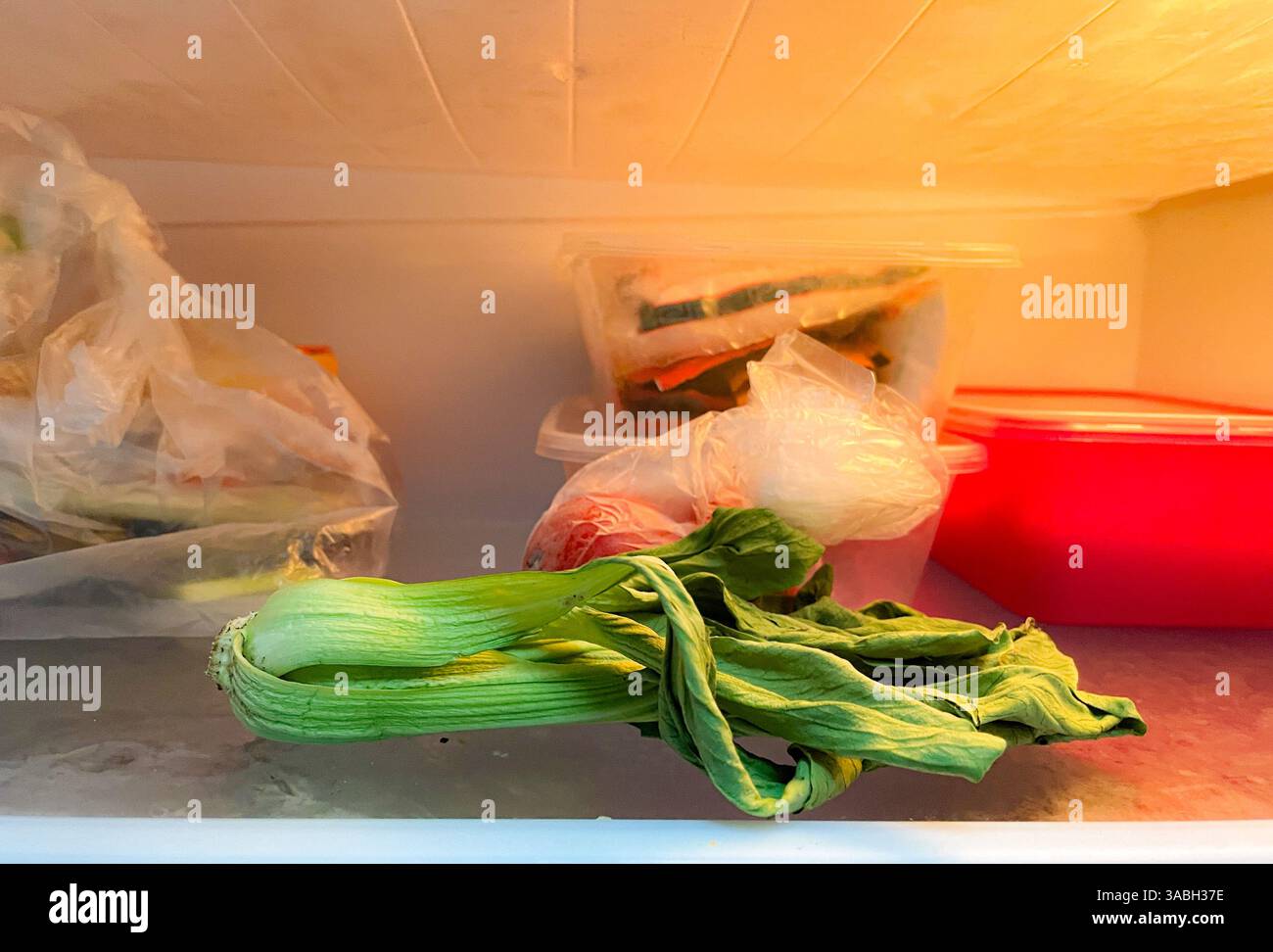 a dry and shriveled mustard greens in the refrigerator, dried vegetables - Smartphone Captured Stock Image