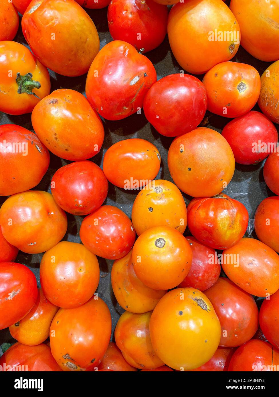 top view of pile of delicious fresh ripe tomatoes as food background texture - Smartphone Captured Stock Image