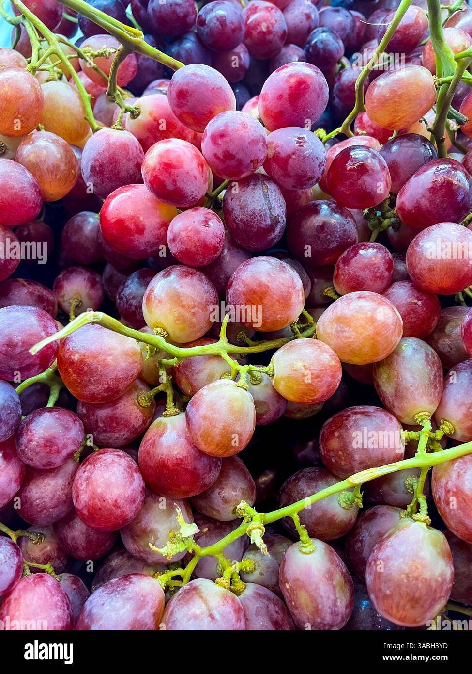 top view of pile of delicious fresh ripe grapes as food background texture - Smartphone Captured Stock Image top view of pile of delicious fresh ripe grapes as food background texture - Smartphone Captured Stock Image