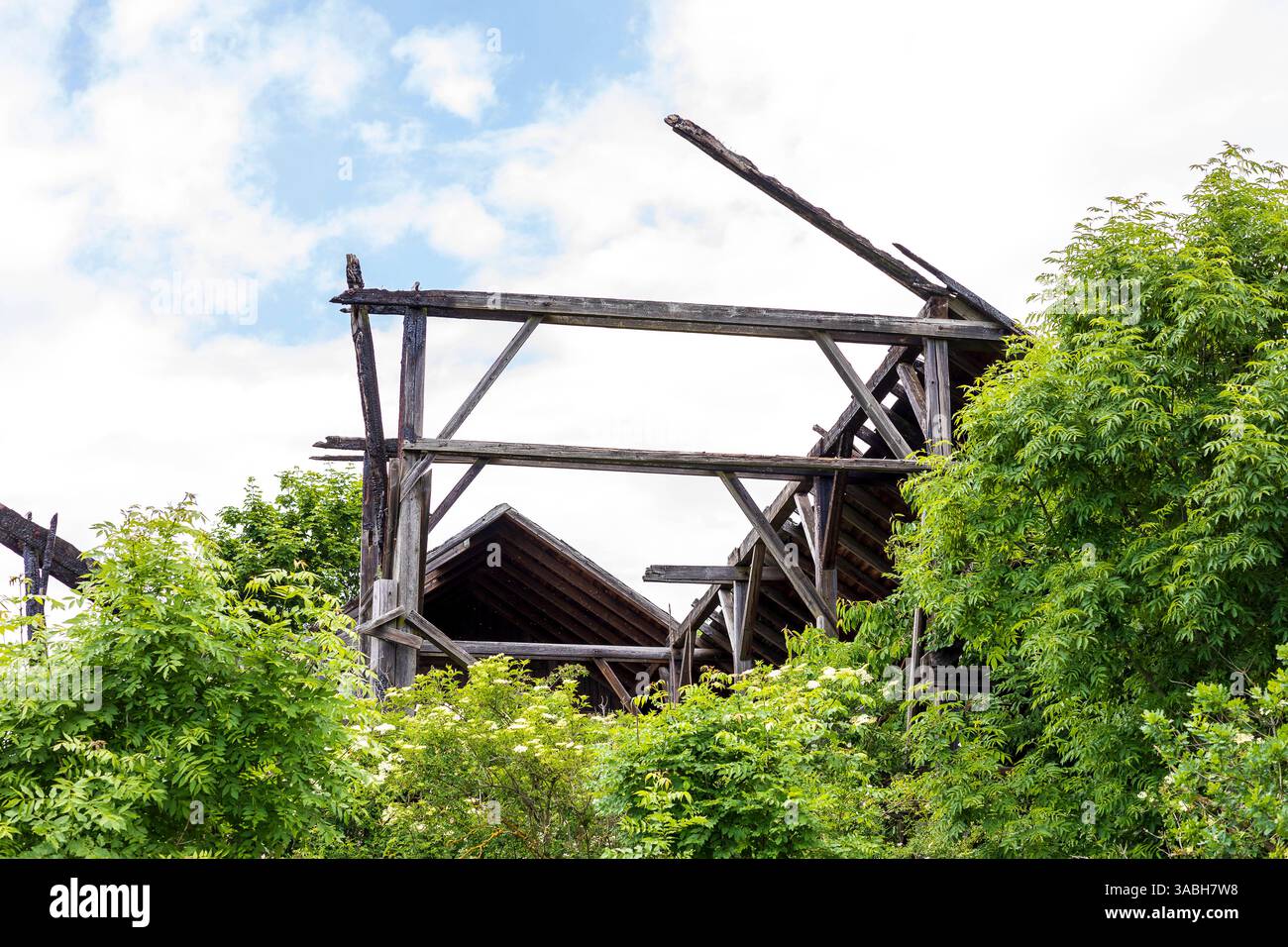Alter defekter Dachstuhl mit Brandschäden, eingewachsen mit Sträuchern, bei Flöha, Sachsen, Deutschland *** Old defective roof truss with fire damage, Stock Photo