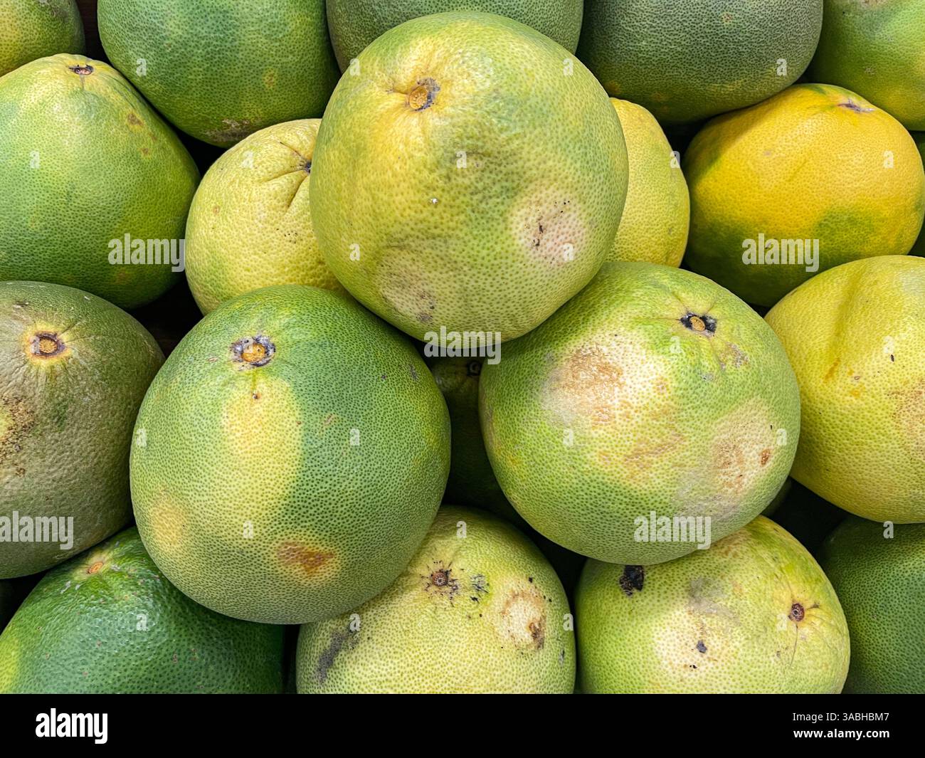 Pamelo fruit that has been harvested and is ready to be served - Smartphone Captured Stock Image
