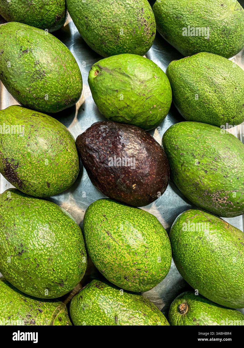 Hass avocado in the middle of green avocados displayed at the fruit market - Smartphone Captured Stock Image