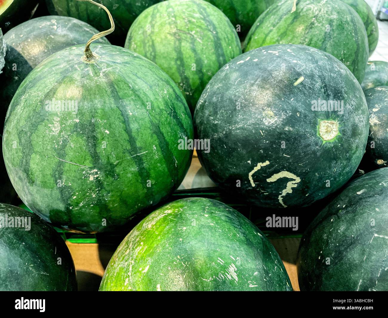 lots of fresh watermelons displayed at the fruit market - Smartphone Captured Stock Image