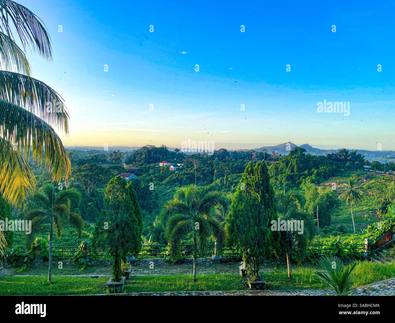 beautiful morning view of the countryside with trees and blue sky - Smartphone Captured Stock Image