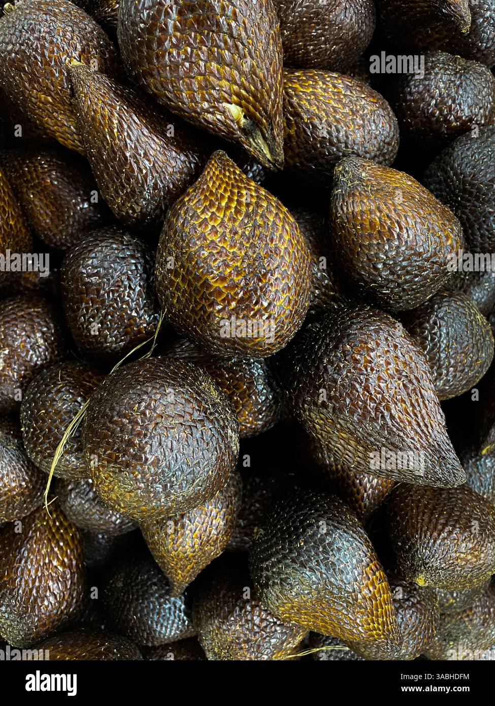 Pile of Fresh Salak Fruit, Salacca Zalacca, Snakefruit Closeup View - Smartphone Captured Stock Image
