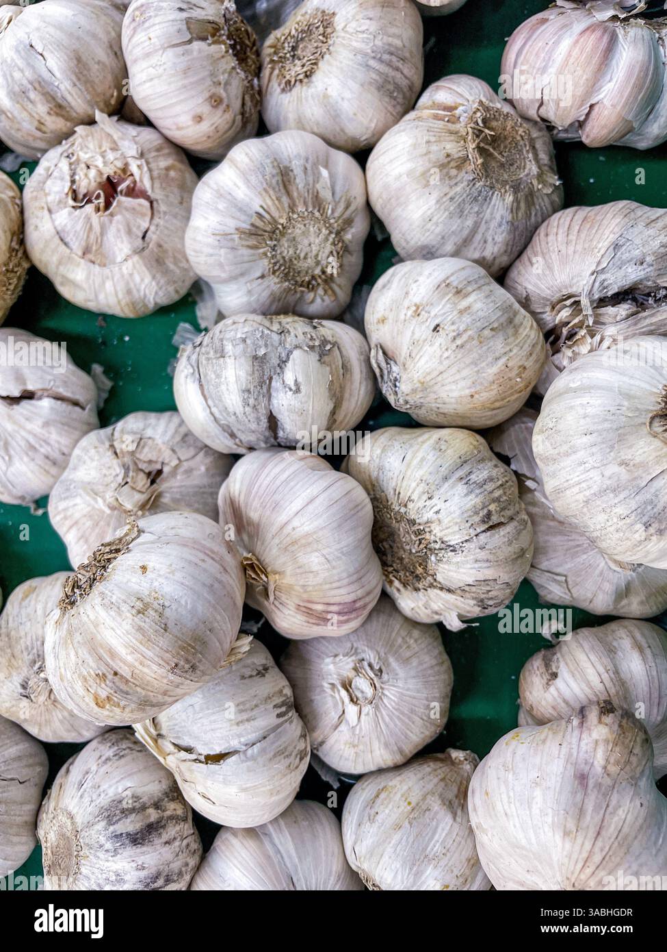Pile of Garlic displayed on market. white onion, top view - Smartphone Captured Stock Image
