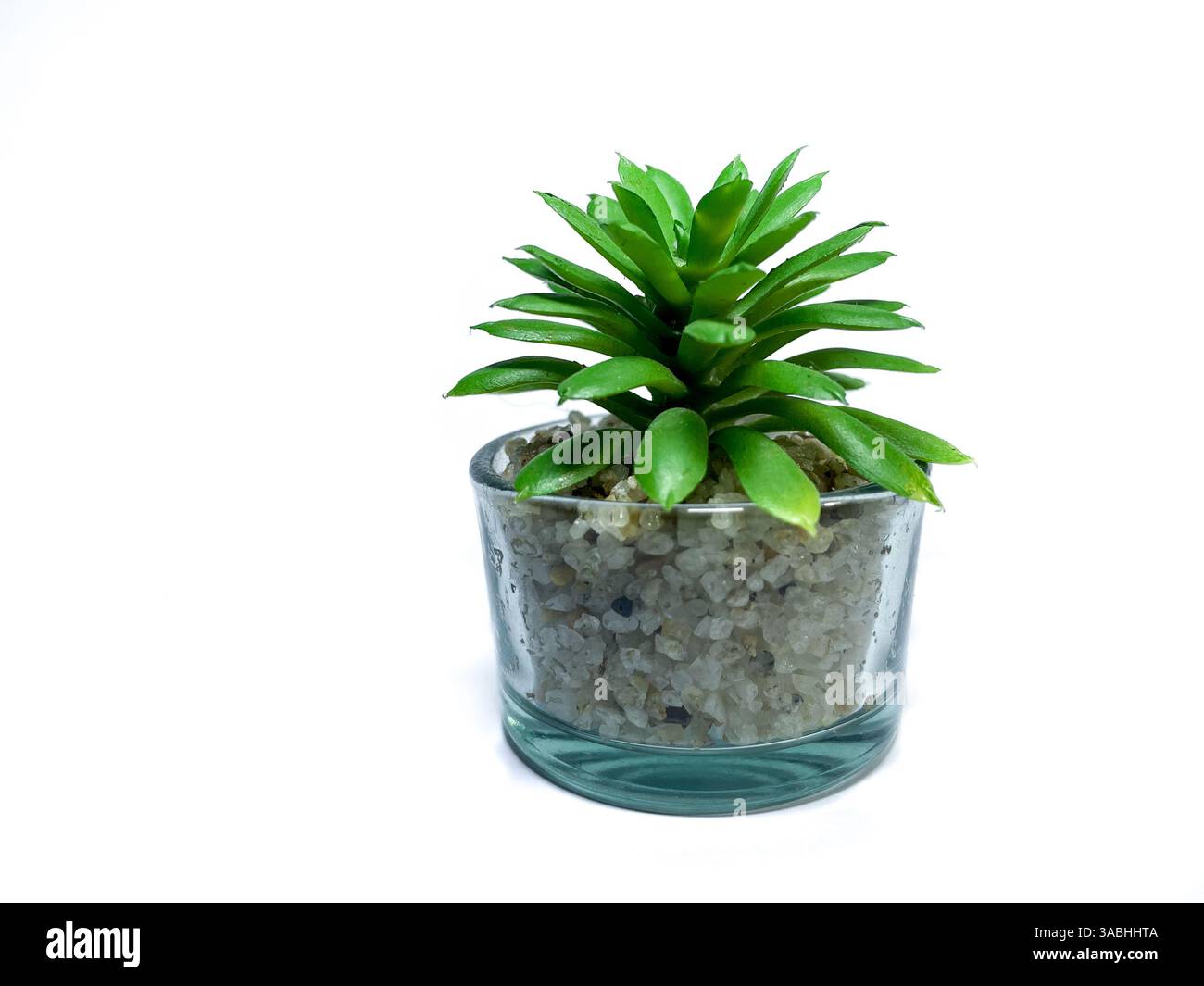 Beautiful artificial plants decorations, faux home tabletop greenery with clear glass pots isolated on white background. - Smartphone Captured Stock Image
