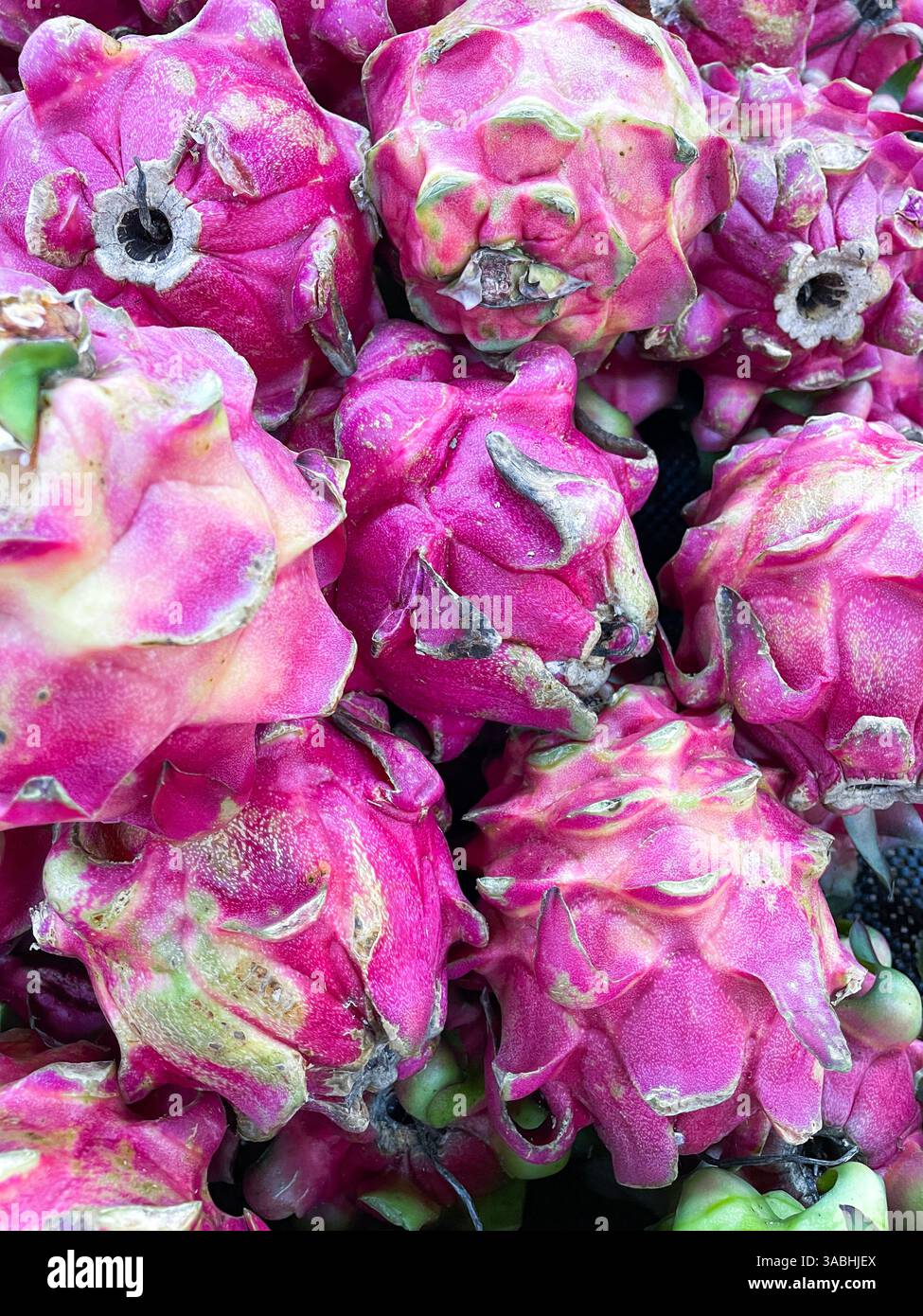 Fresh red pink dragon fruit or pitaya background - Smartphone Captured Stock Image