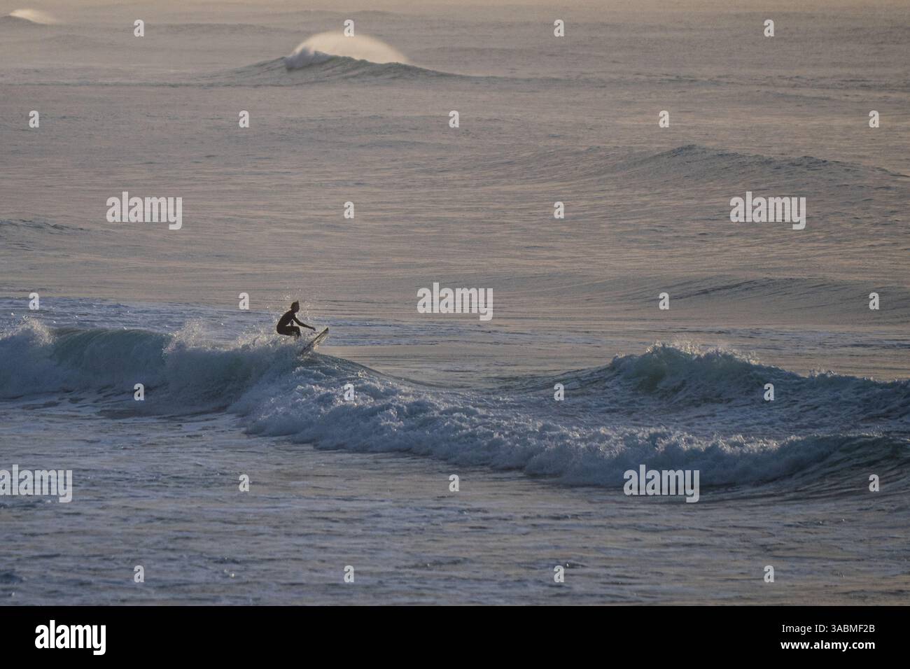 Surfer im Morgenlicht - Wellen vor Neuseeland Stock Photo