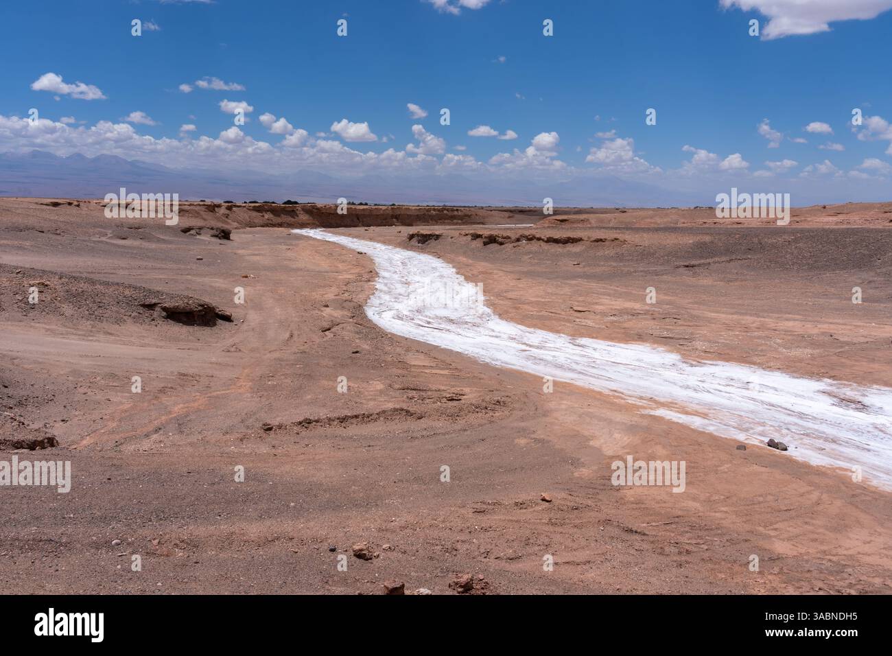 White salt deposits in a long curved dry river bed, Atacama Desert, Chile. Stock Photo