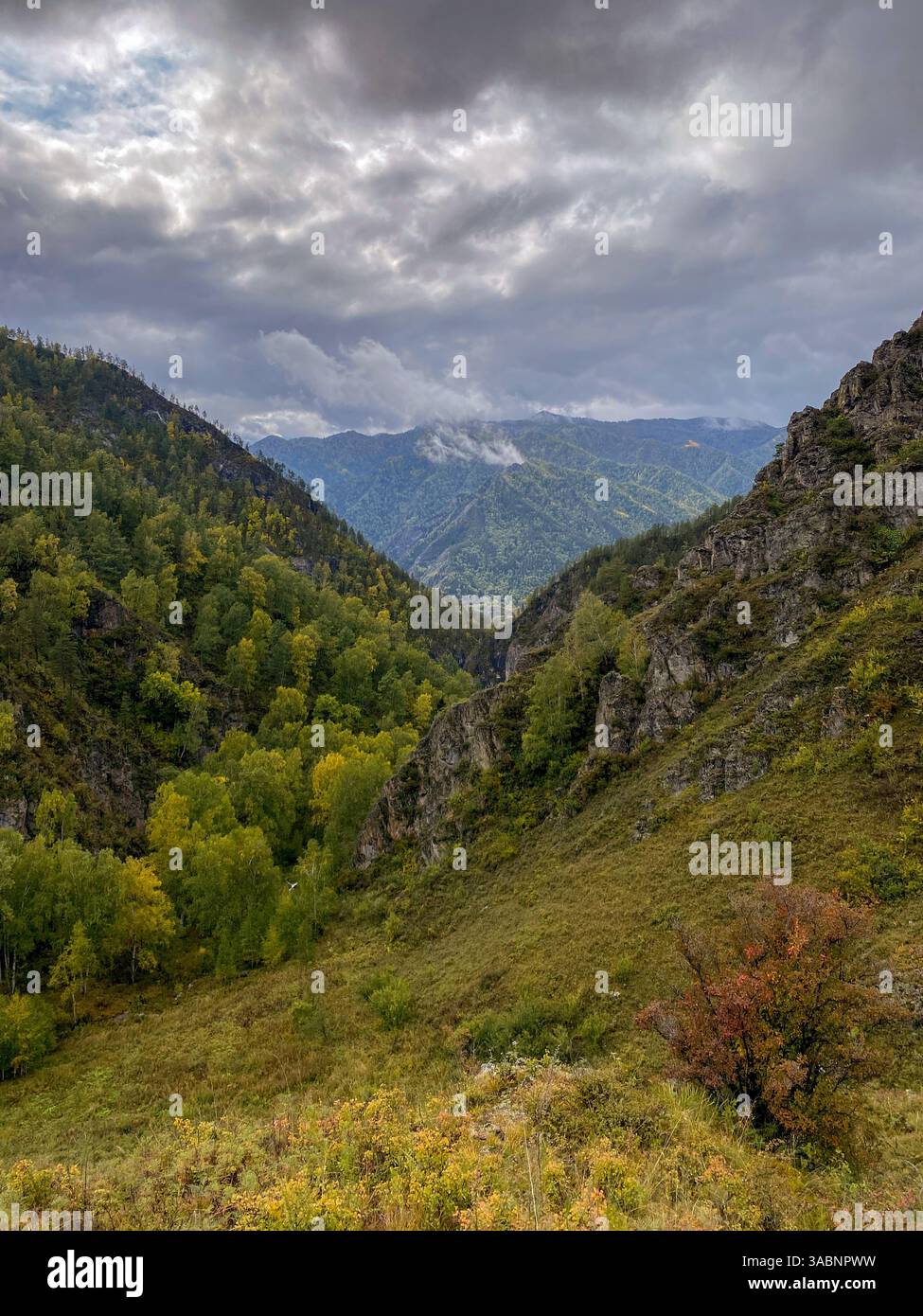 View of the autumn mountain valley - Smartphone Captured Stock Image