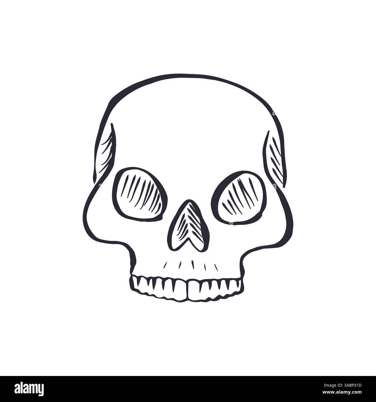 Hand drawn black and white line art human skull Stock Vector Image ...
