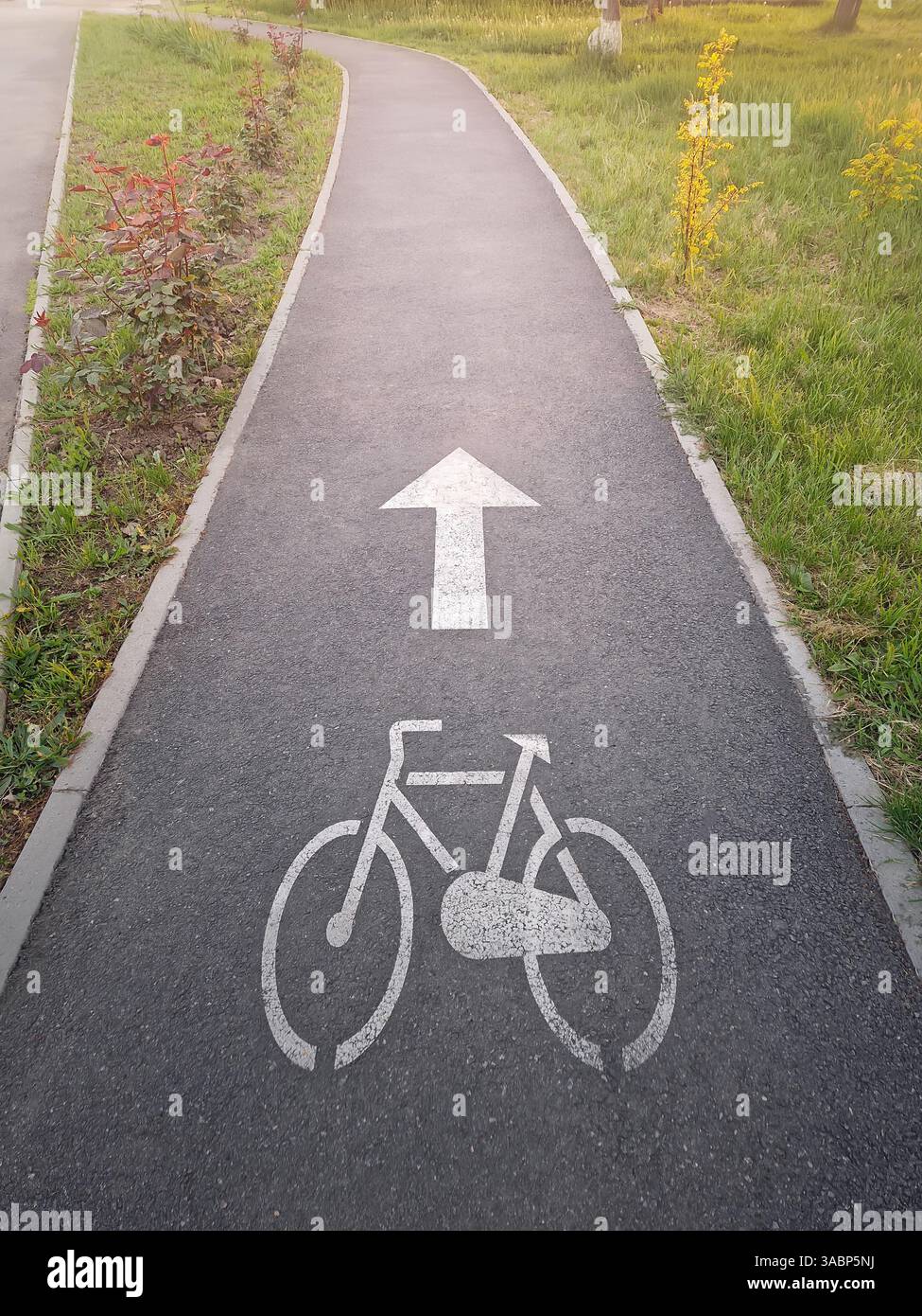 Marked bicycle lane in the park. Track for cyclists - Smartphone Captured Stock Image