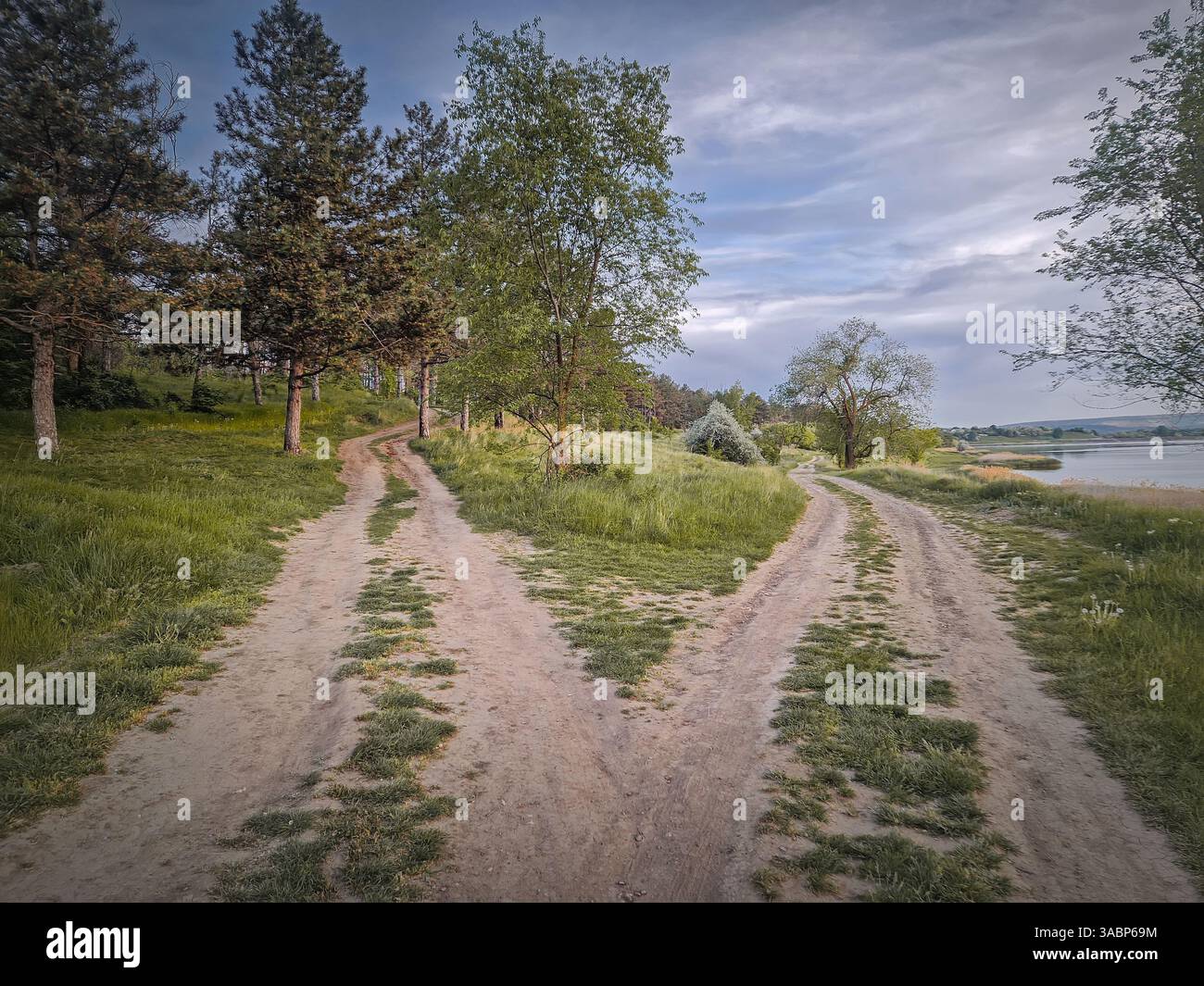 Split country road scene. Crossroad concept choosing the way. Idyllic summer rural landscape and two dirt tracks in the nature leading to the forest a - Smartphone Captured Stock Image