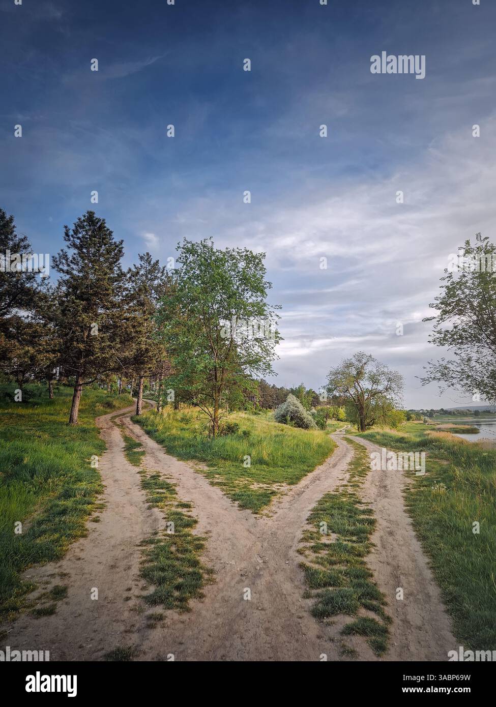 Split country road scene. Crossroad concept choosing the way. Idyllic summer rural landscape and two dirt tracks in the nature leading to the forest a - Smartphone Captured Stock Image
