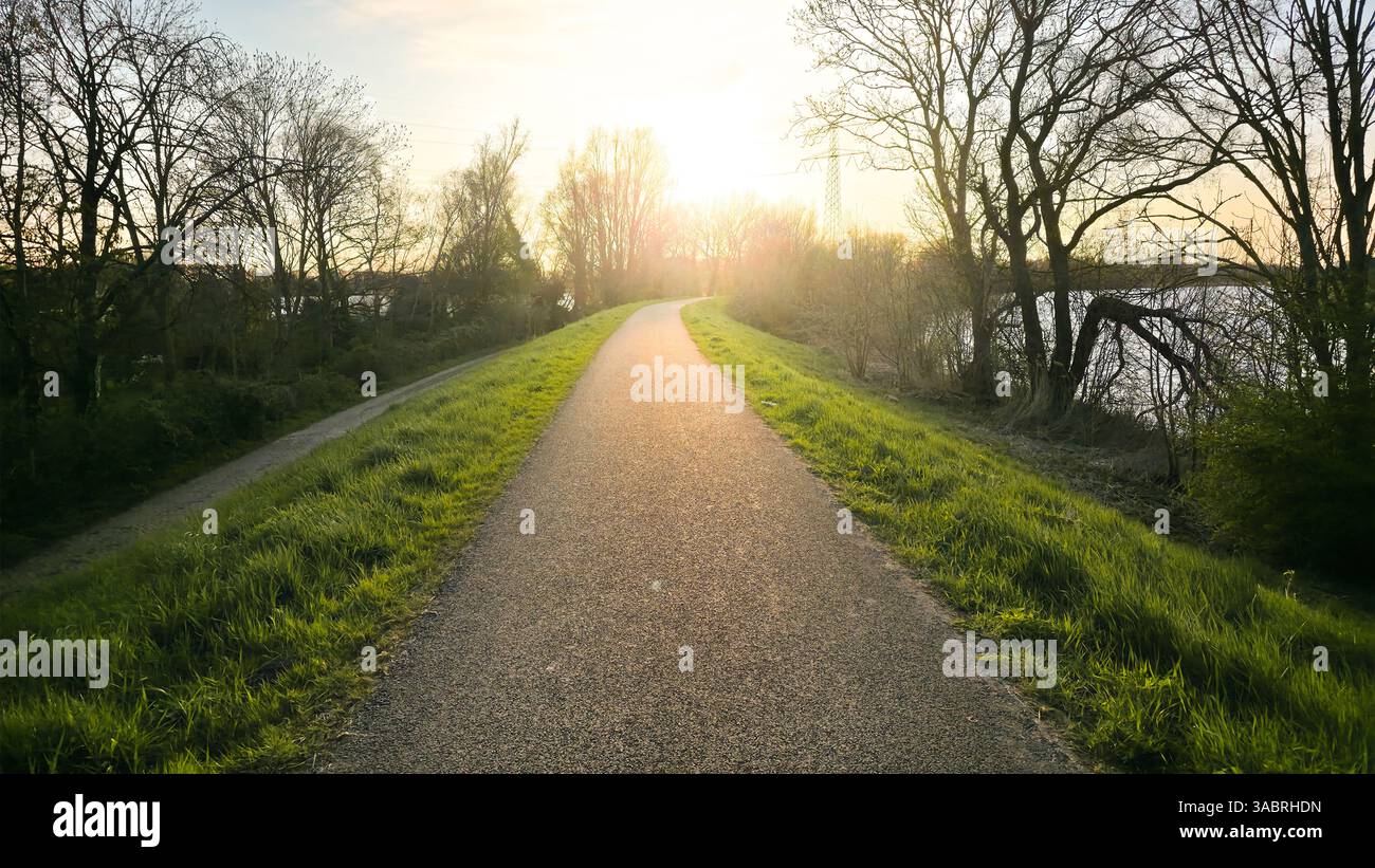 Road with trees and bright sunlight - Smartphone Captured Stock Image