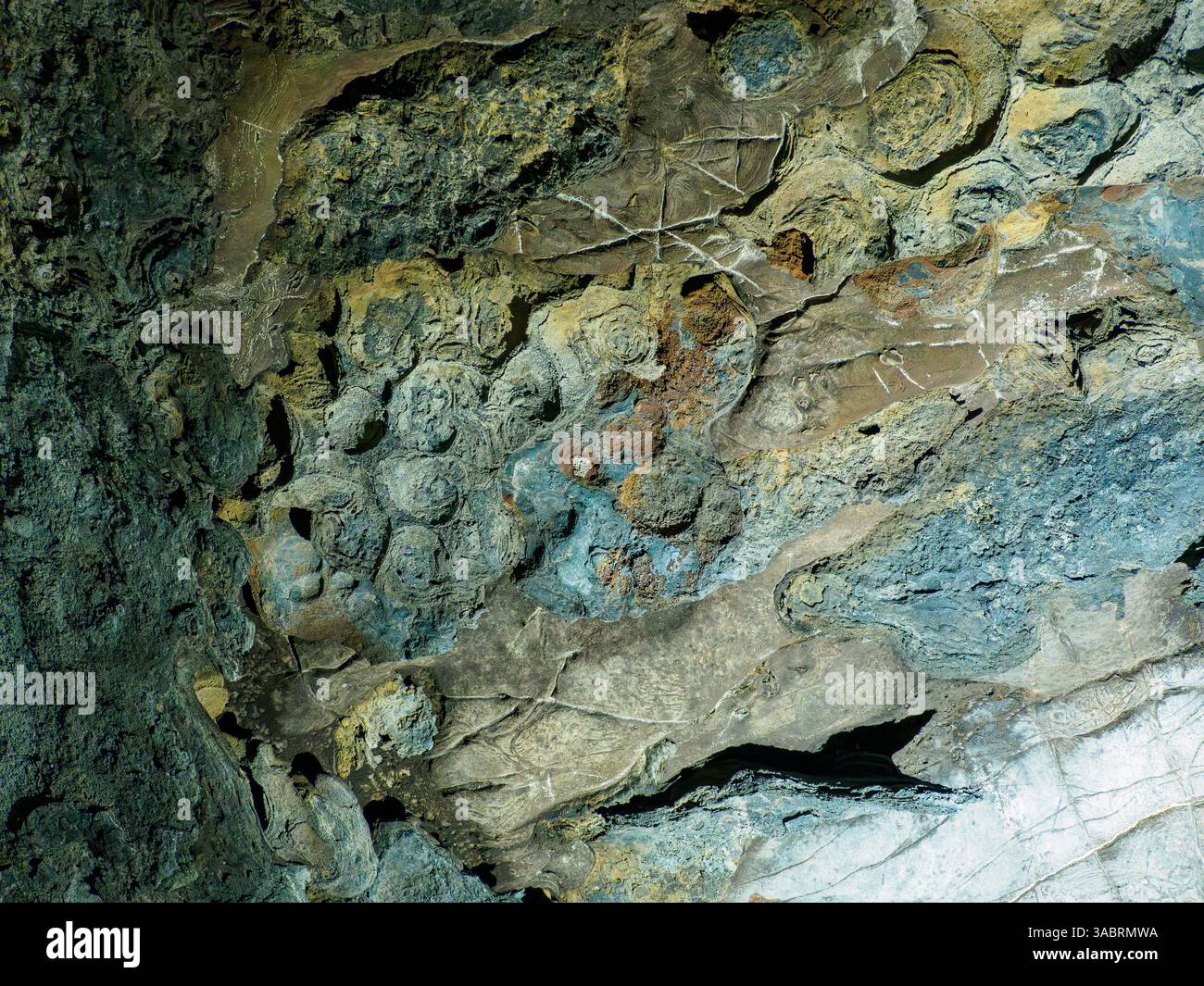Details of Stromatolite ceiling in Sudwala caves, Mpumalanga, South