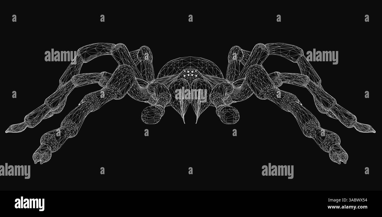 Spider Strand A spider is shown in a black and white. The spider is shown in a very ...