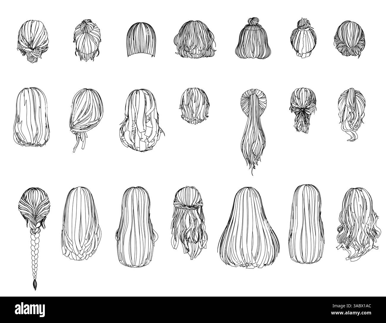A series of drawings of different hairstyles The drawings are all