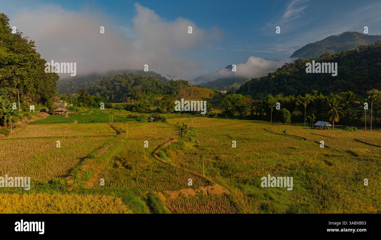 An aerial view of terraced rice fields in a charming valley of golden ...