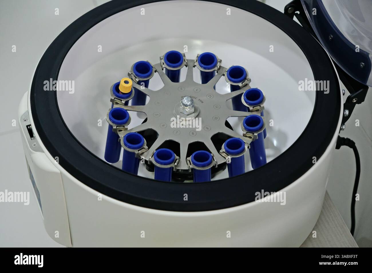 Institute of Reproduction. Equipment for artificial insemination of an egg. Stock Photo