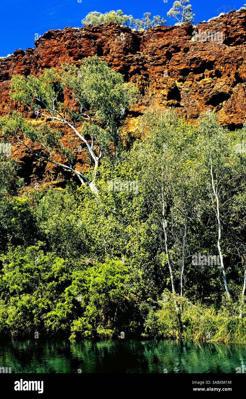Water at the base of gorge,  Fortescue Falls, Pilbara Northwest,  Australia Stock Photo